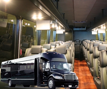 Executive Mini Coach