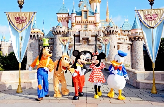 Disney World Limo